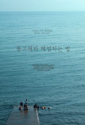 돌고래와 헤엄치는 법